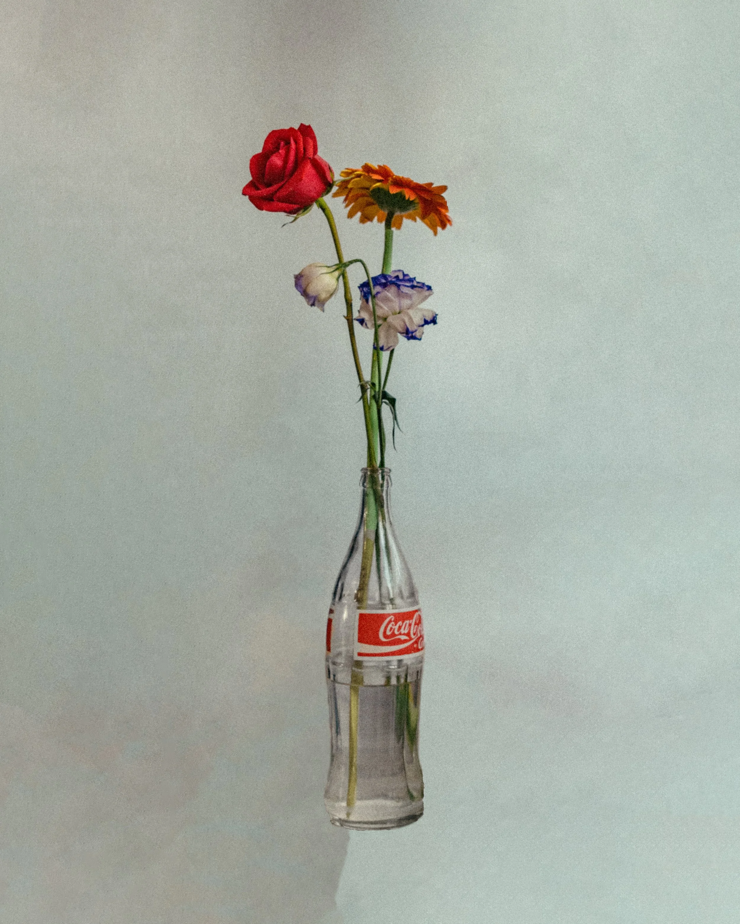 _DMA0004-Edit.jpg