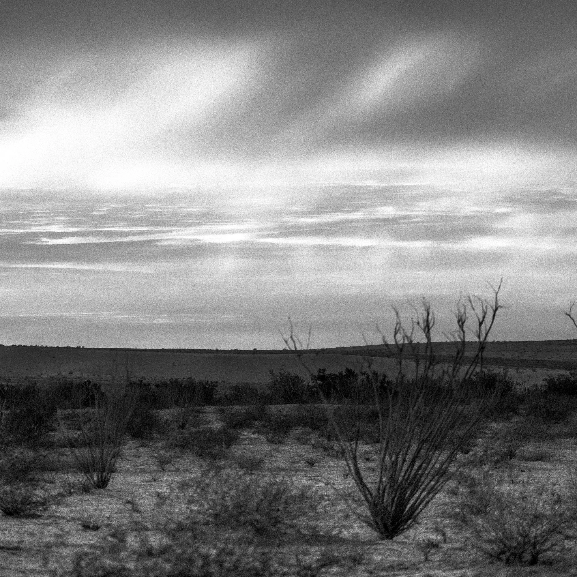 _DSF2318_bnw_baja.jpg