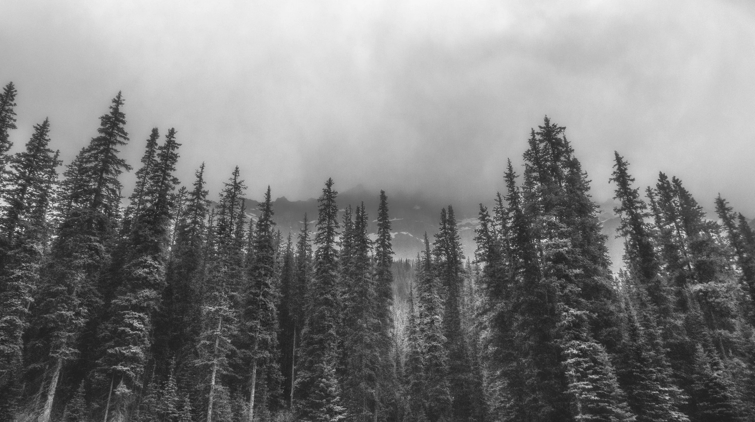 DAB_5606_bnw_baja.jpg