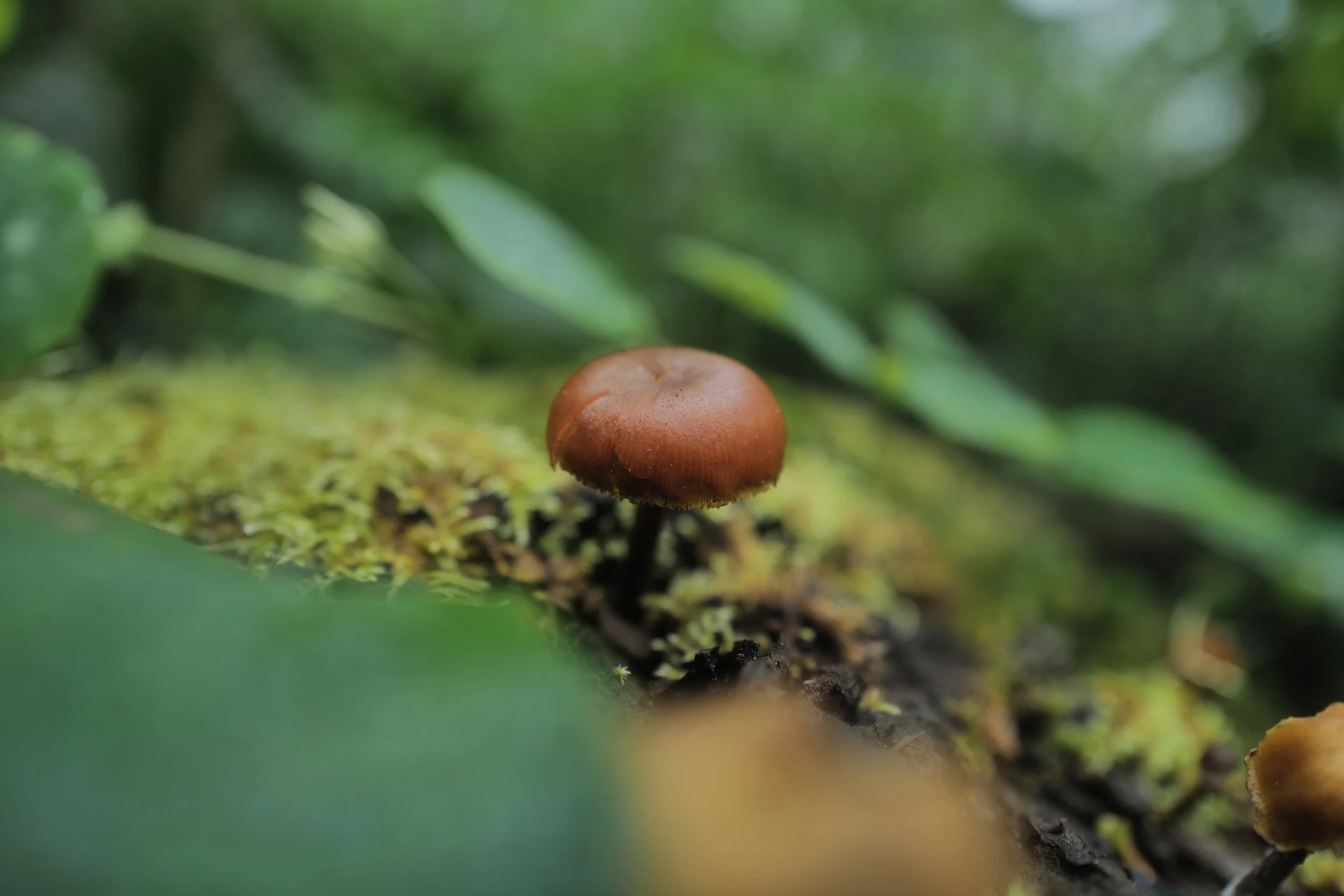L1014150.JPG