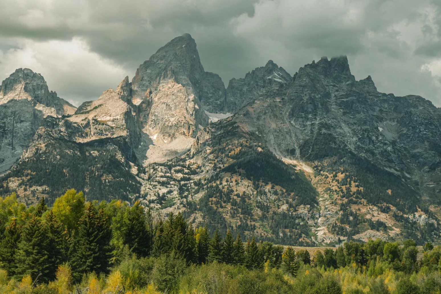 YELLOWSTONE2025-206.jpg