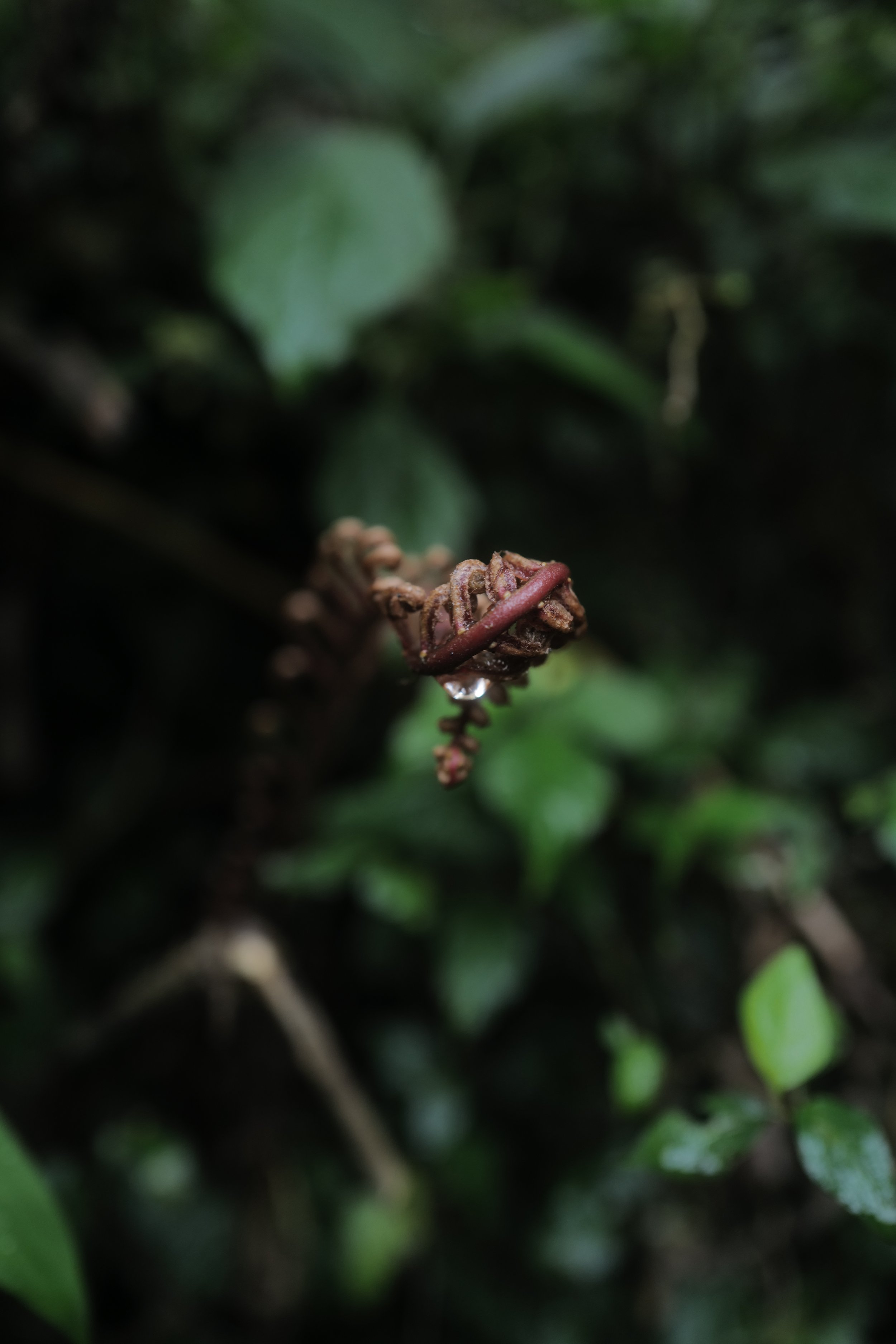 L1014181.JPG