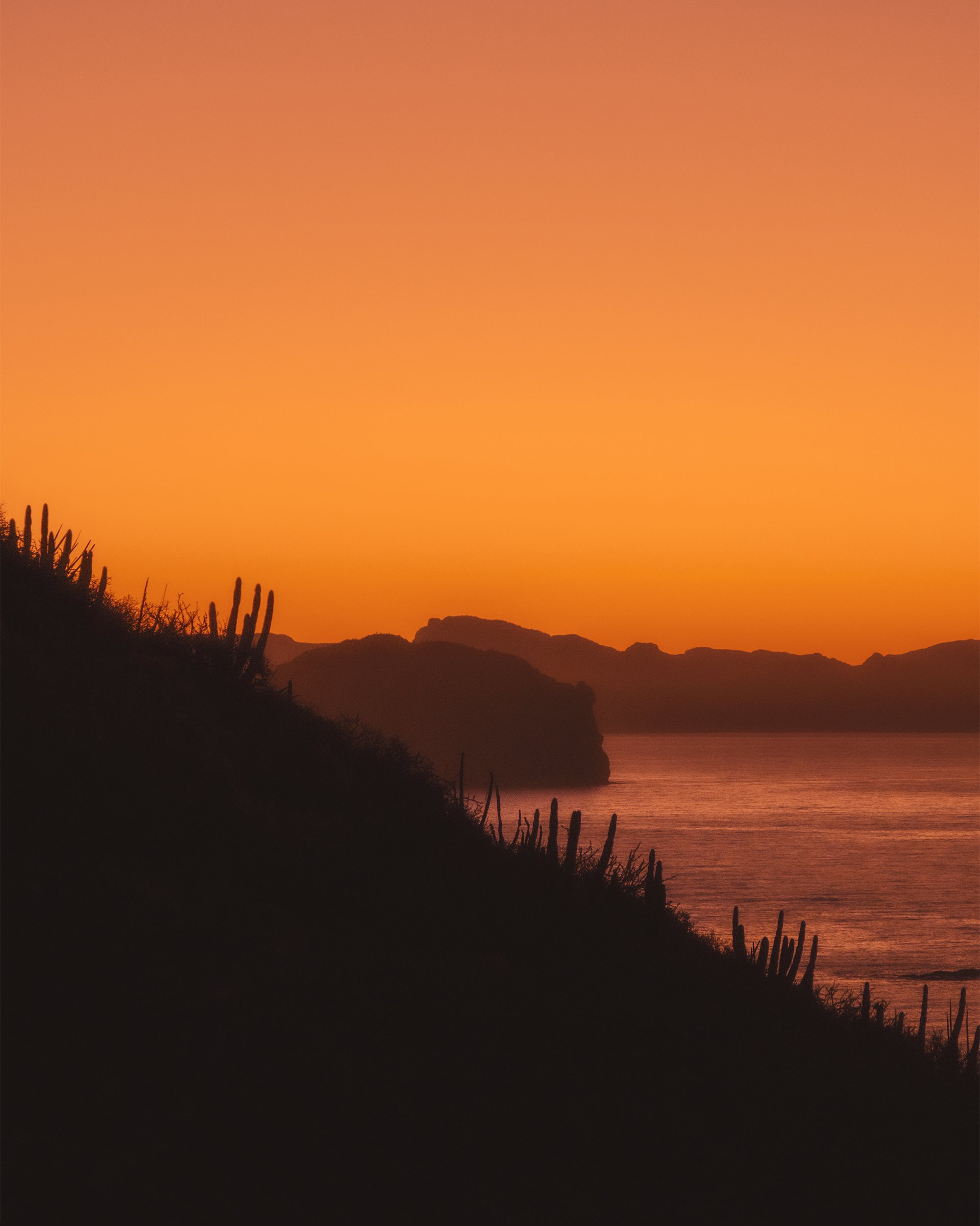 _DSF0039_baja.jpg