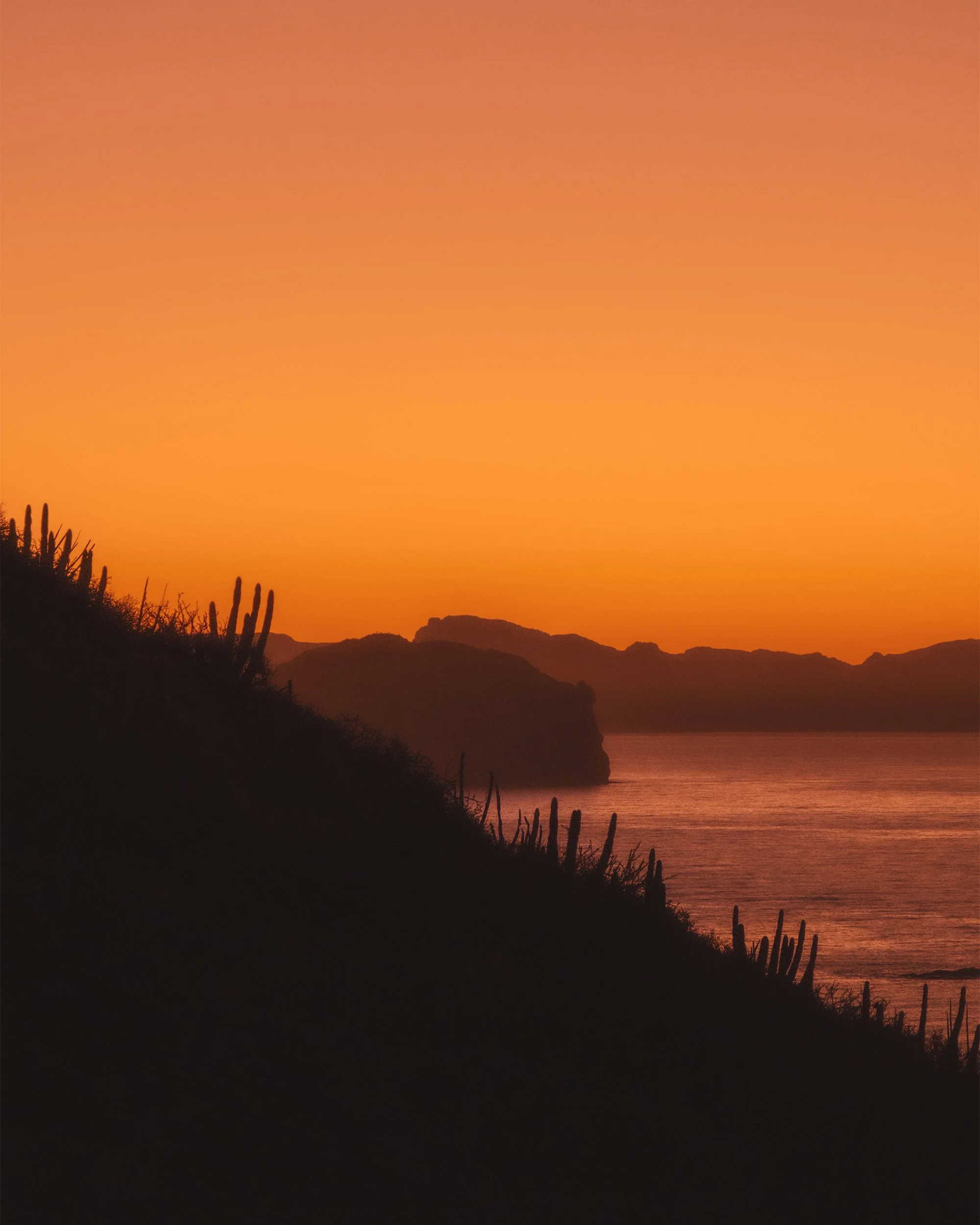 _DSF0039_baja.jpg