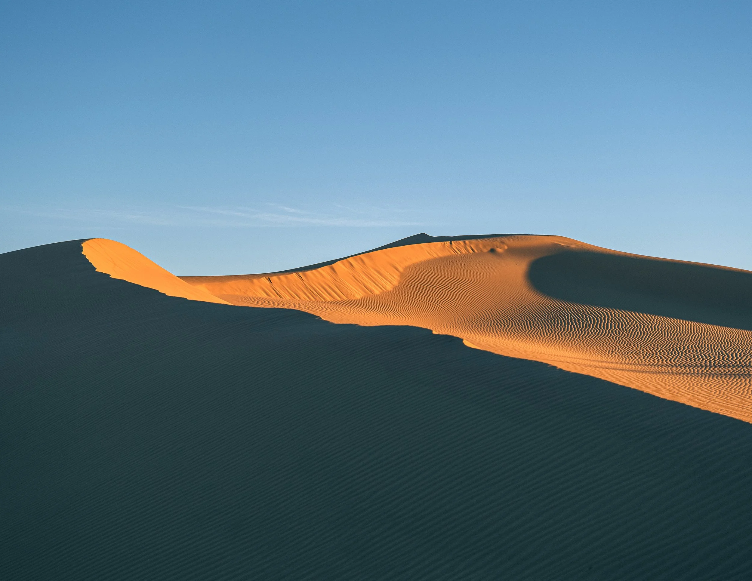 _DSF2675_baja.jpg