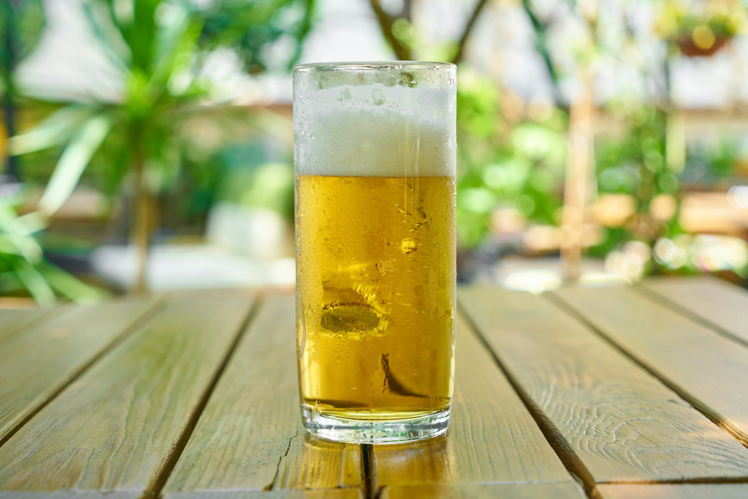 A tall glass of cold beer with foam on top sitting on a wooden table outdoors, with blurred green foliage in the background.
