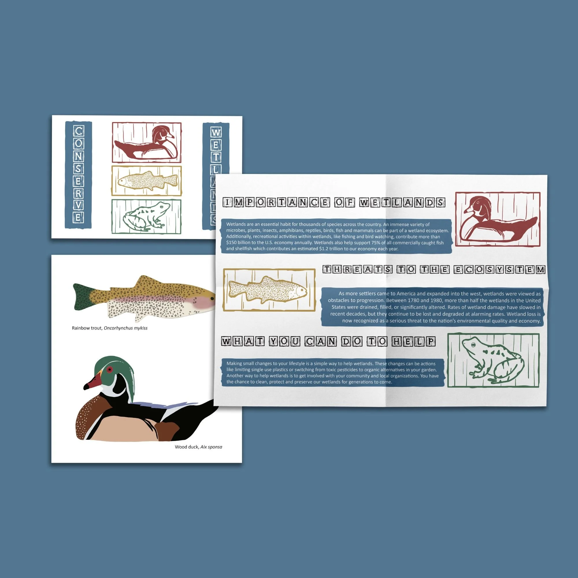 Untitled design (1).jpg