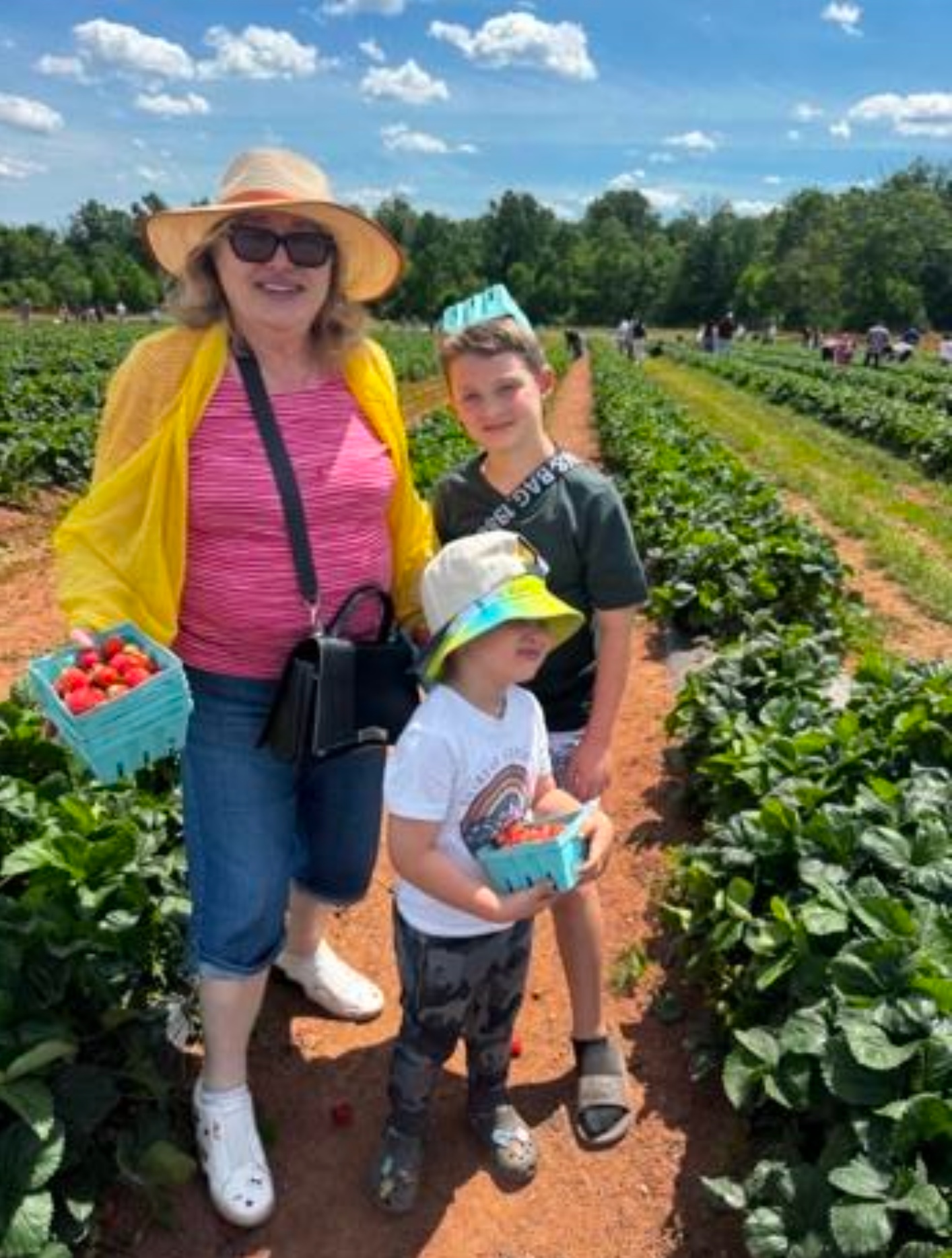 Family of four standing in a strawberry field, holding baskets of strawberries, under a partly cloudy sky.