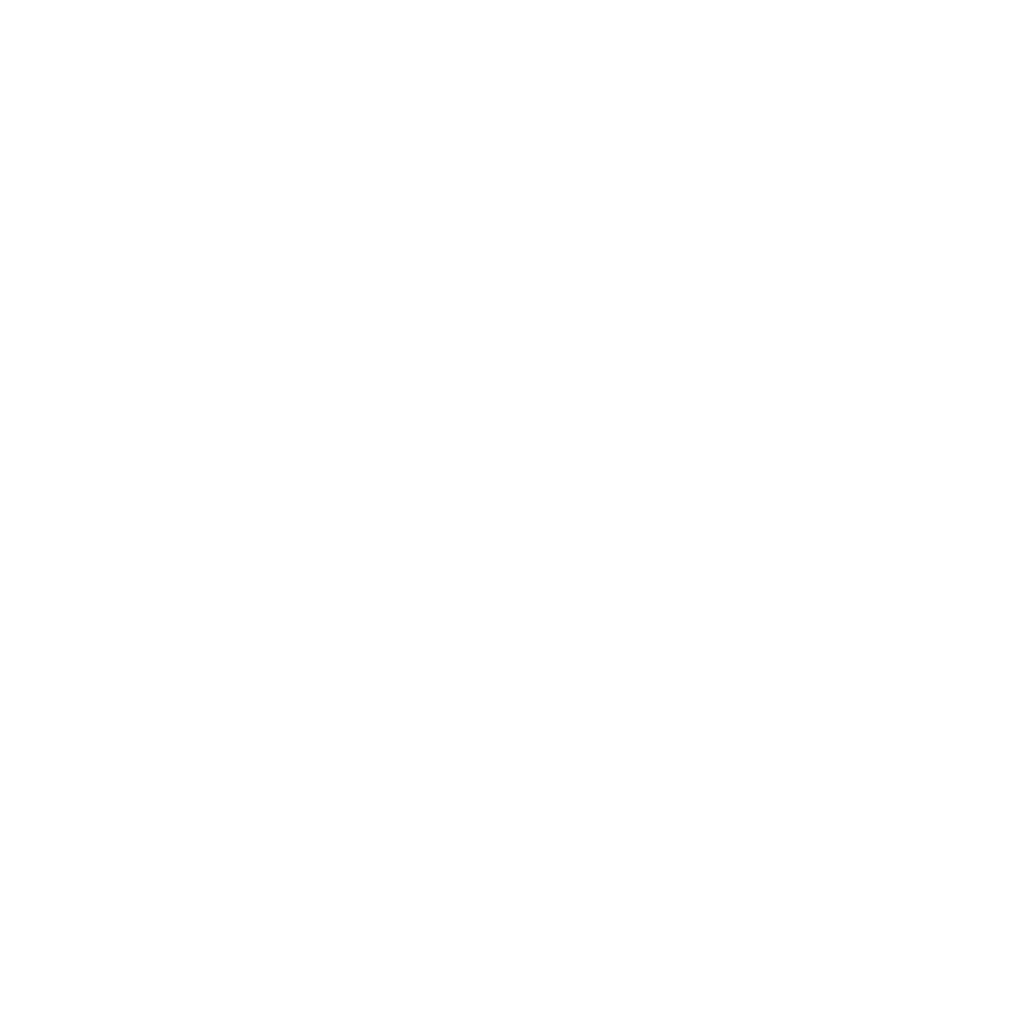 SNAP SHOT MEMORIES CO.
