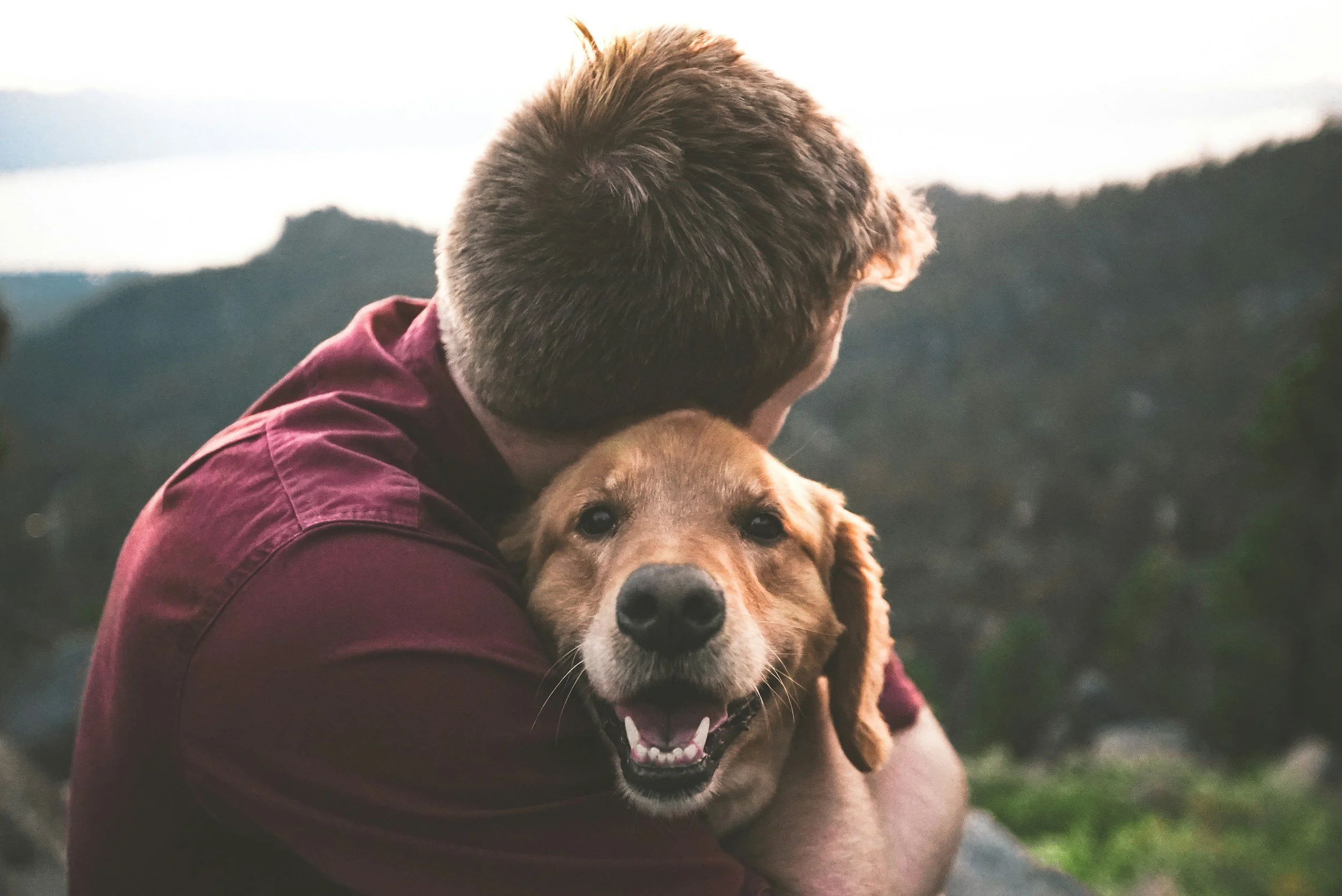 Pet owner hugging a golden retriever outdoors in a peaceful natural setting.