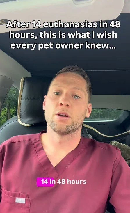 How Do You Know When It’s Time to Say Goodbye to Your Dog?