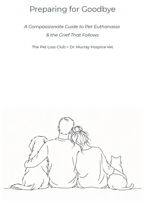 Preparing for Goodbye: A Compassionate Guide to Pet Euthanasia & the Grief That Follows