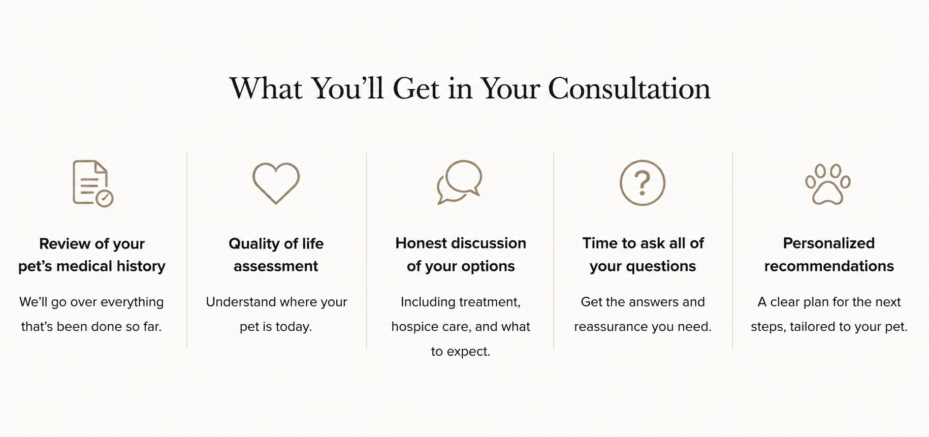 A webpage titled 'What You'll Get in Your Consultation' with five sections: review of pet's medical history, quality of life assessment, honest discussion of options, time to ask questions, and personalized recommendations, each accompanied by an icon and description.