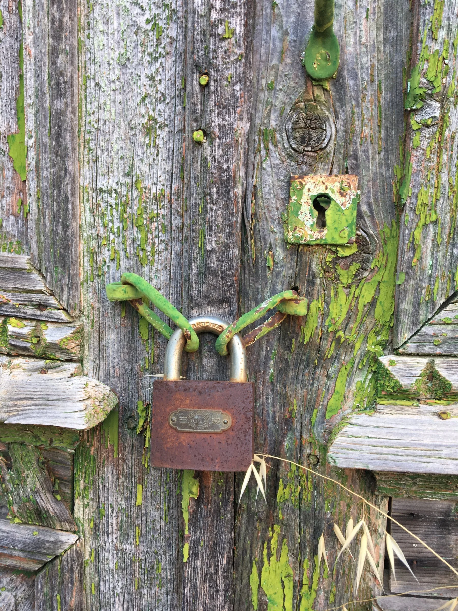 Holding keys to stories that time refused to erase.