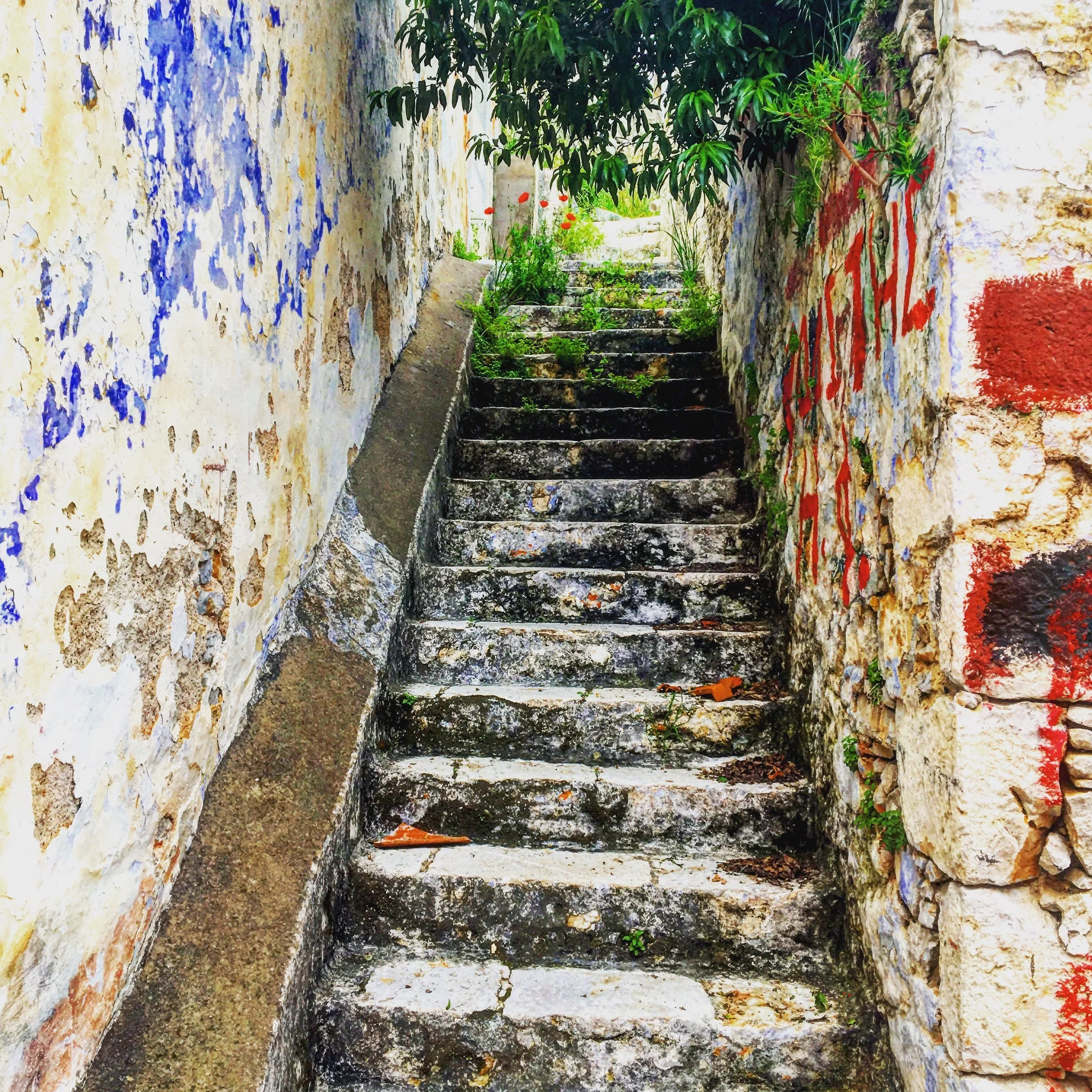 A charming, sunlit stone staircase leading upwards, beautifully framed by wild green ivy and rustic stone walls.
