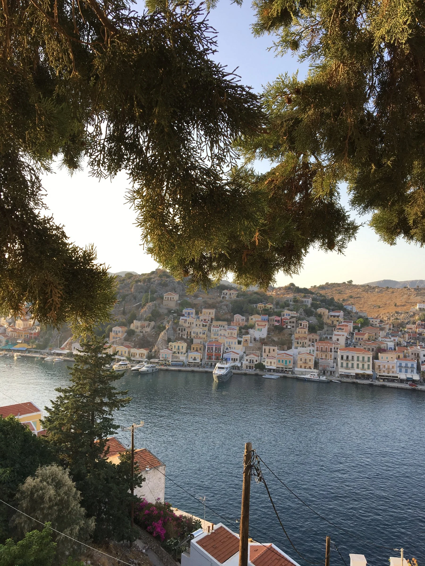 The harbor, cradled by the pines.