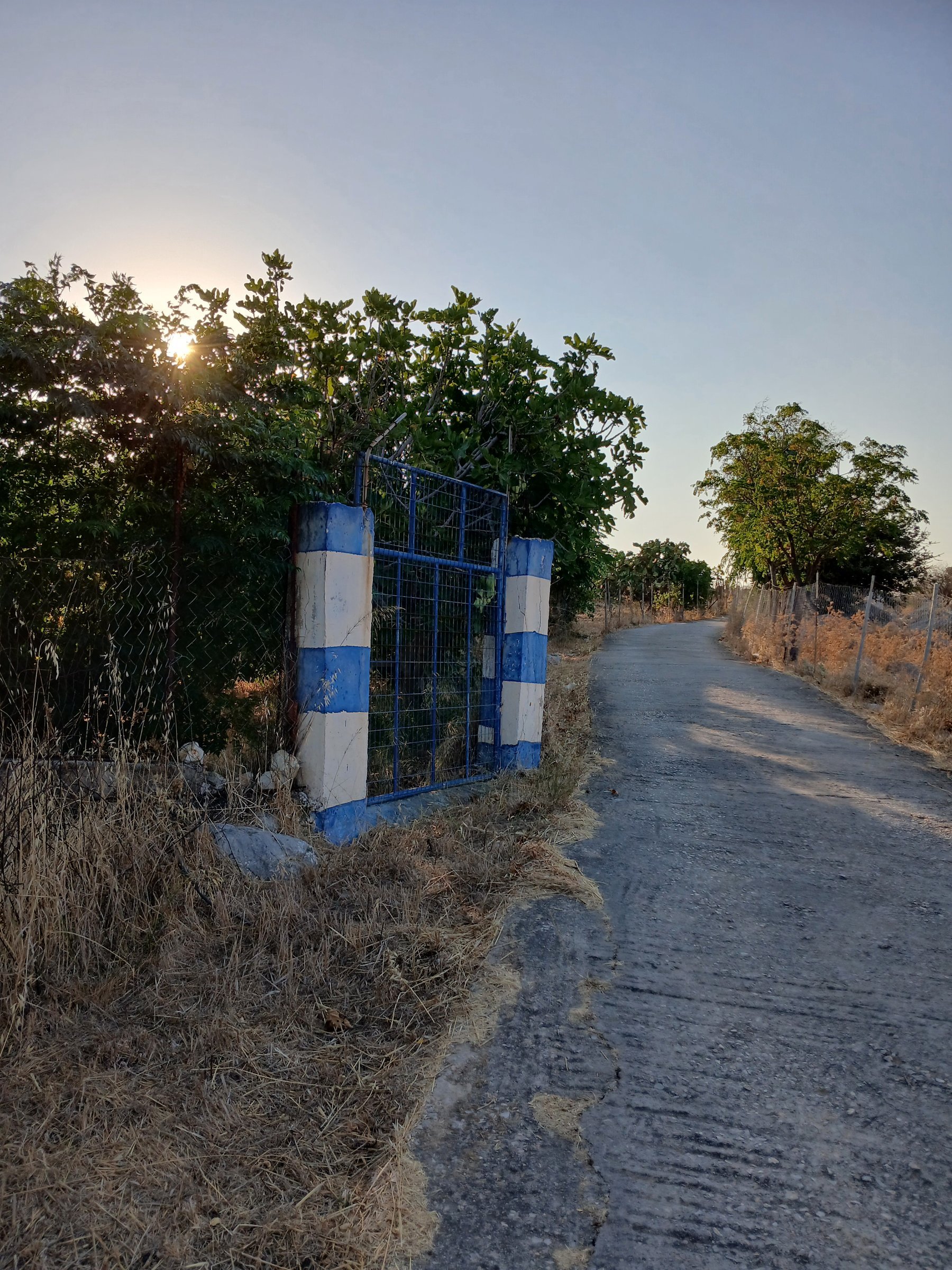 Blue entrance gate to a traditional orchard in Symi, Greece, at golden hour.