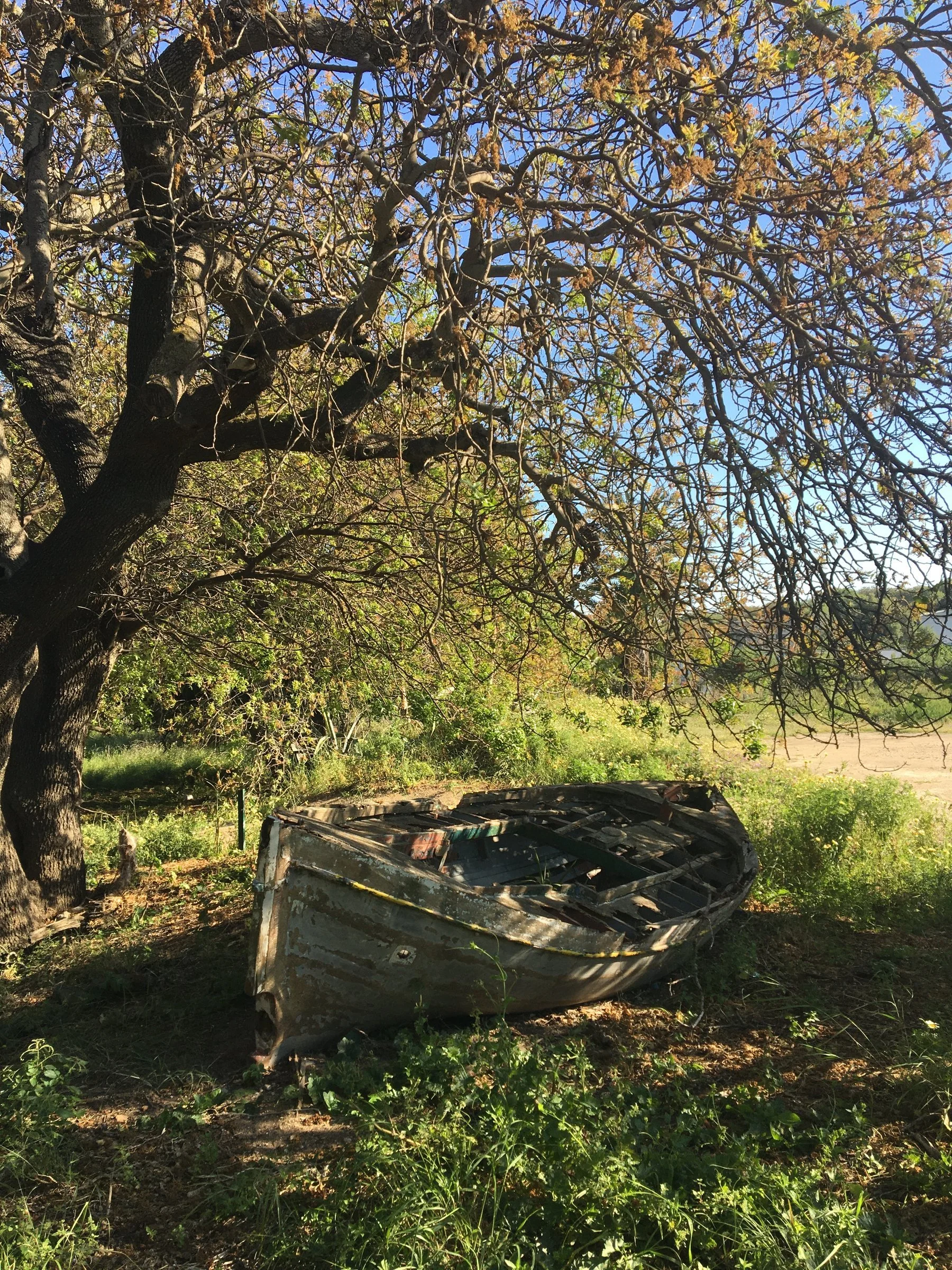 Weathered wooden boat beneath a tree near the Ancient Stadium of Rhodes, where time and silence have quietly reshaped the landscape.