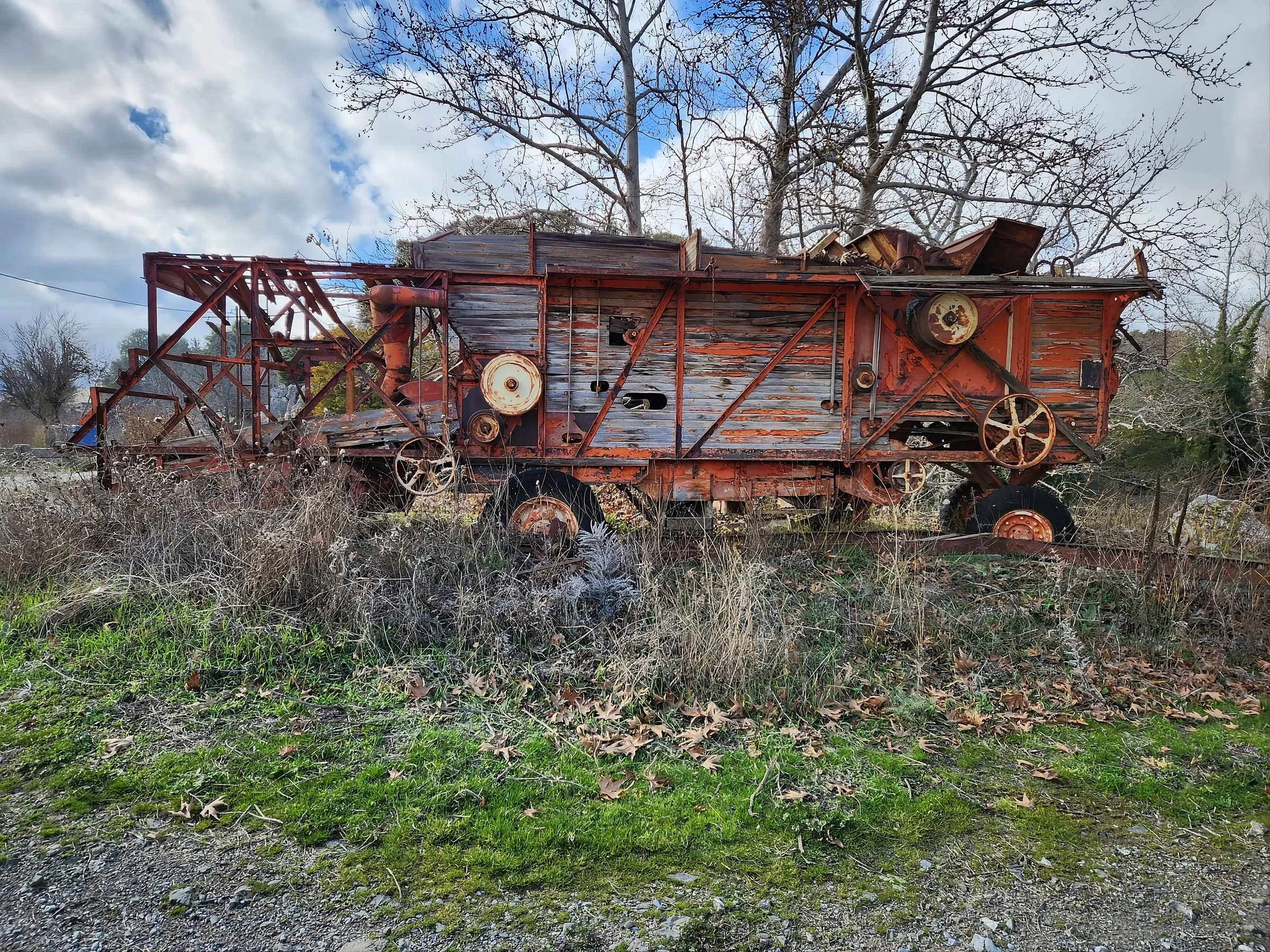 Traces of forgotten seasons, anchored in overgrown memories.