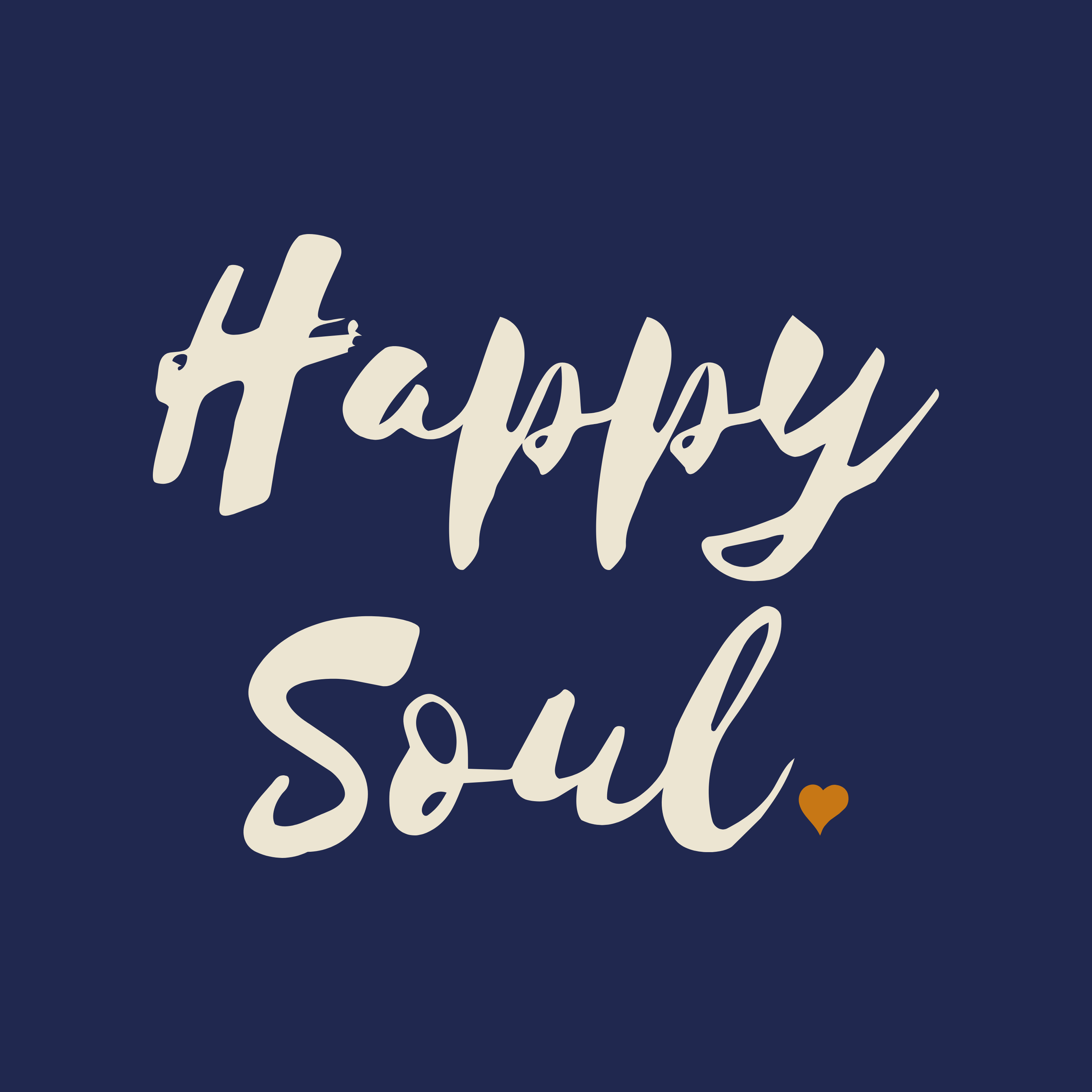 Happy Soul