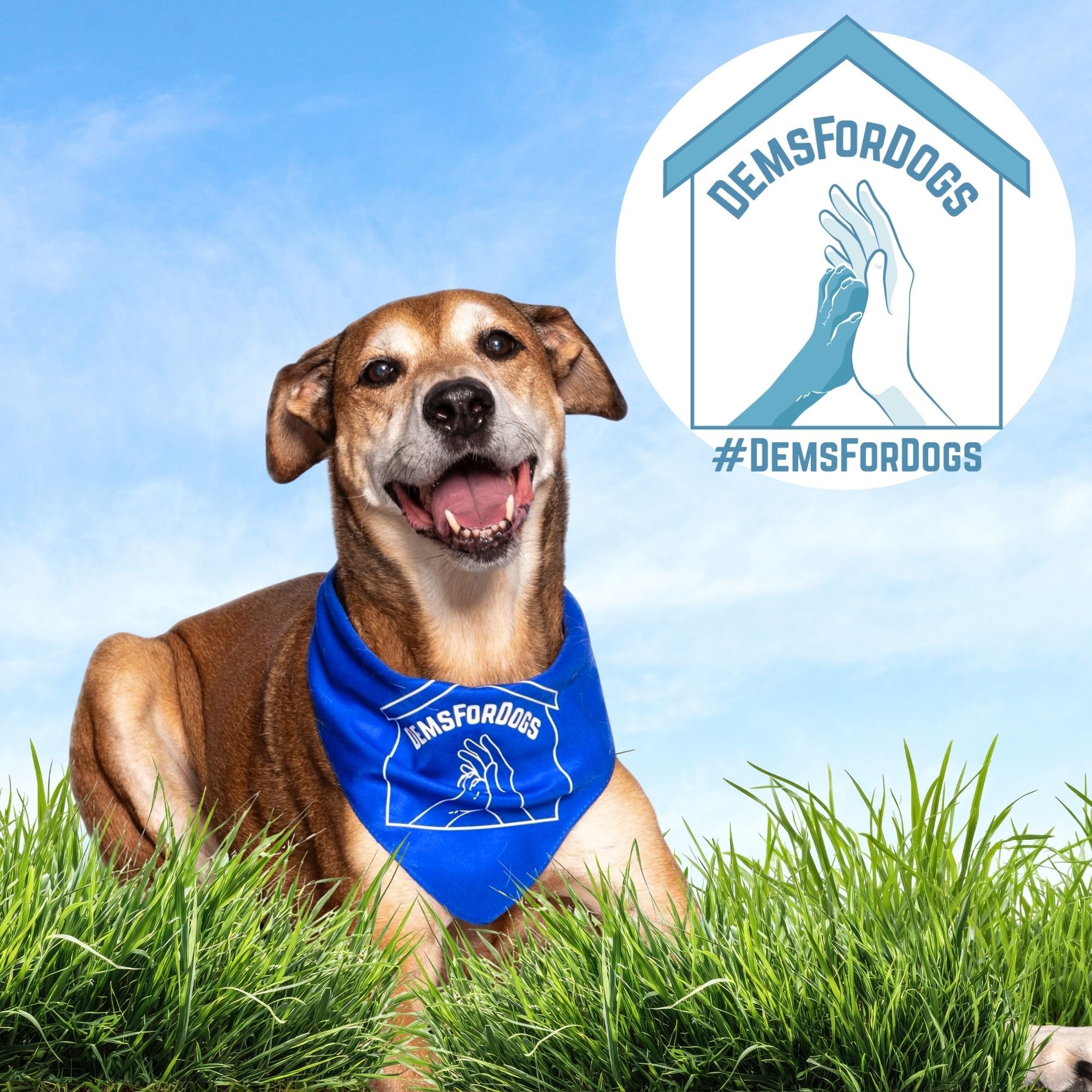 A brown dog with a white face, wearing a blue bandana, sitting on green grass with a blue sky background. There is a logo with a house shape, hands, and the text '#DEMSForDogs' in the upper right corner.
