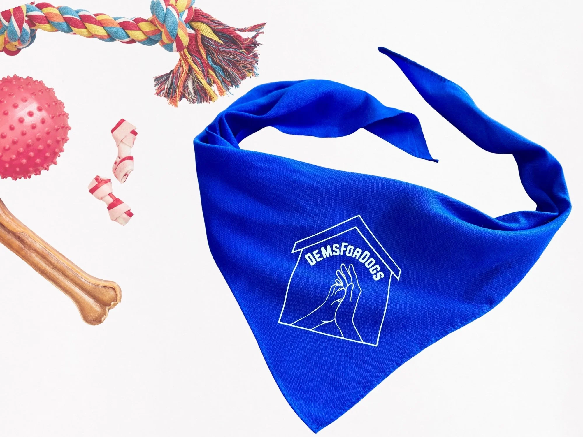 A blue cloth bag with the DemsForDogs logo, a multicolored rope toy, a pink spiky ball, a wooden bone, and some pink and white chewy treats.