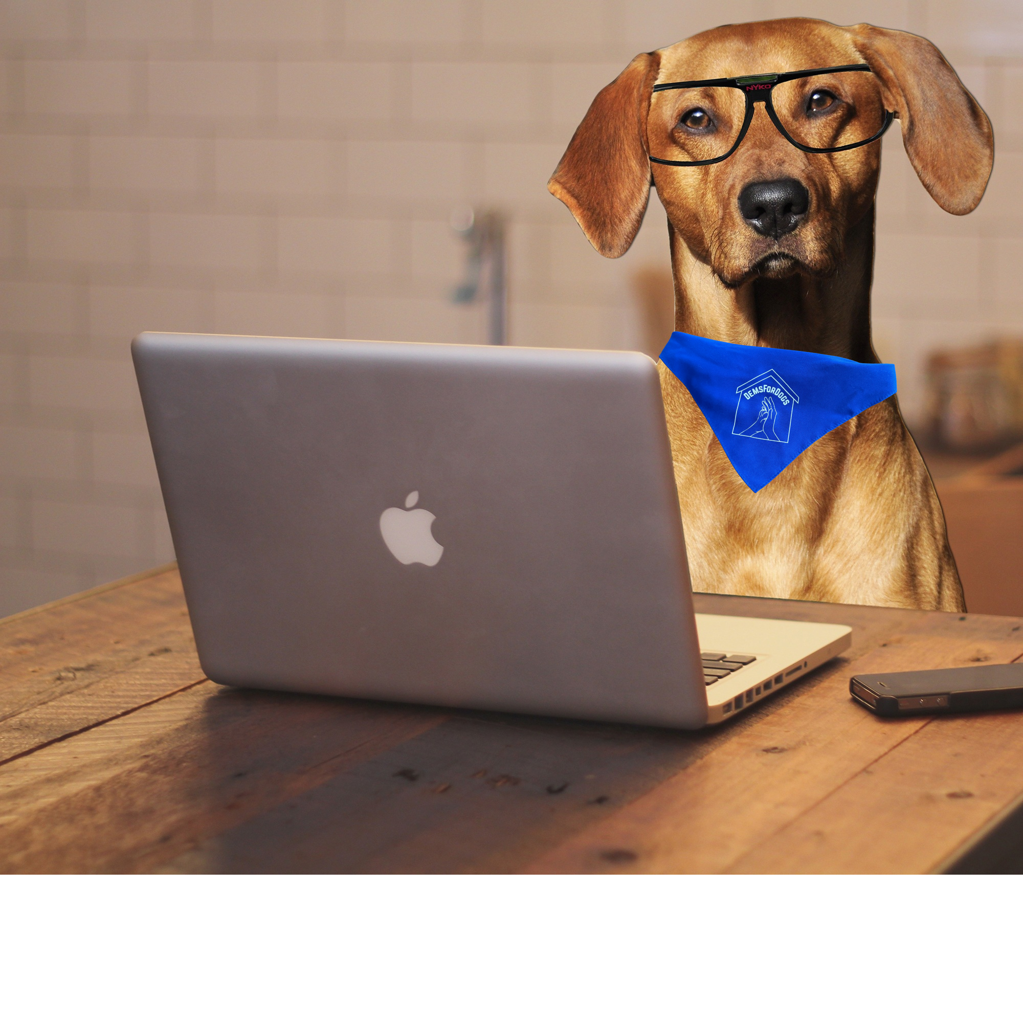 A dog wearing glasses and a blue bandana sitting in front of a laptop on a wooden table.