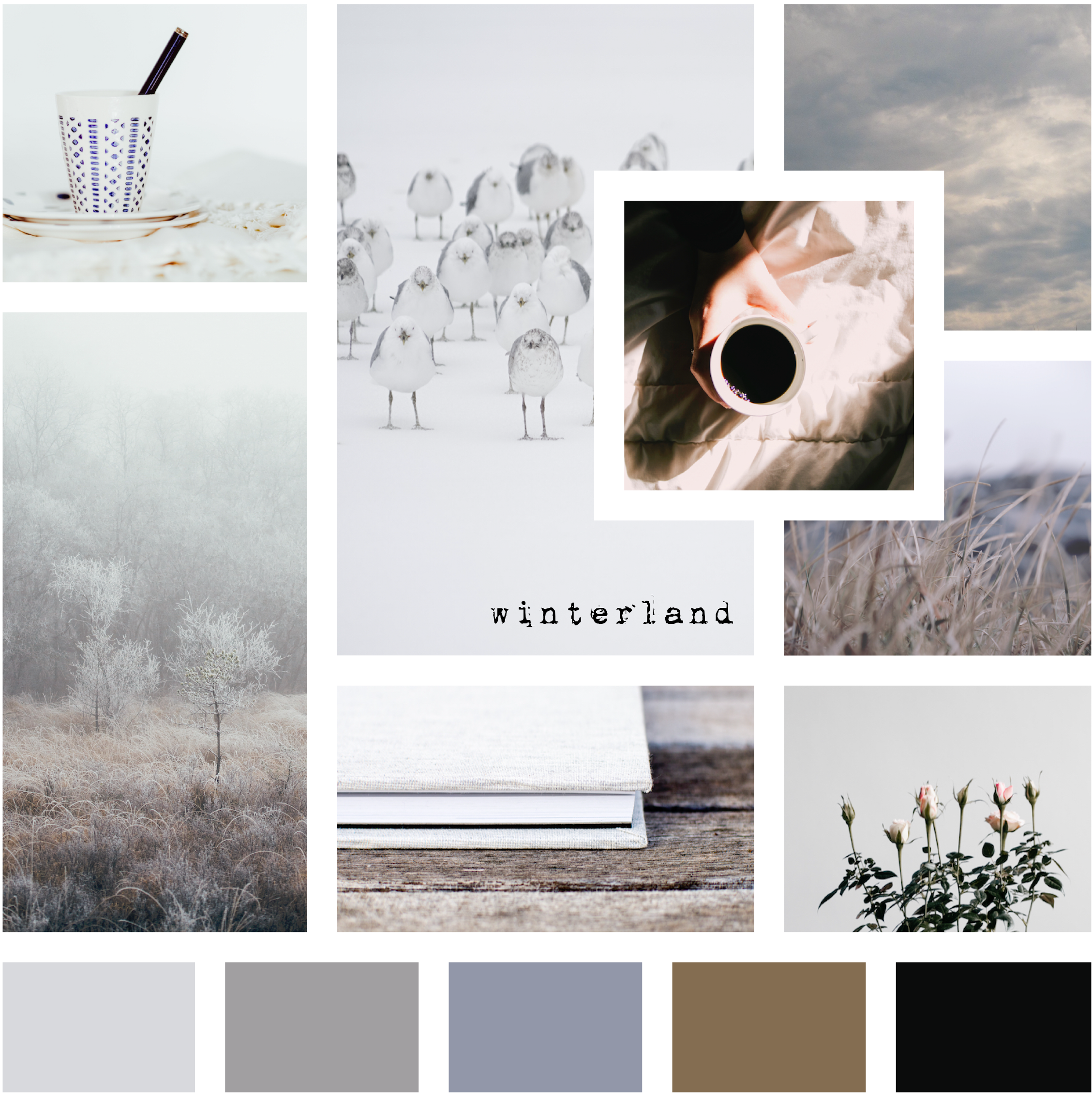 Winterland