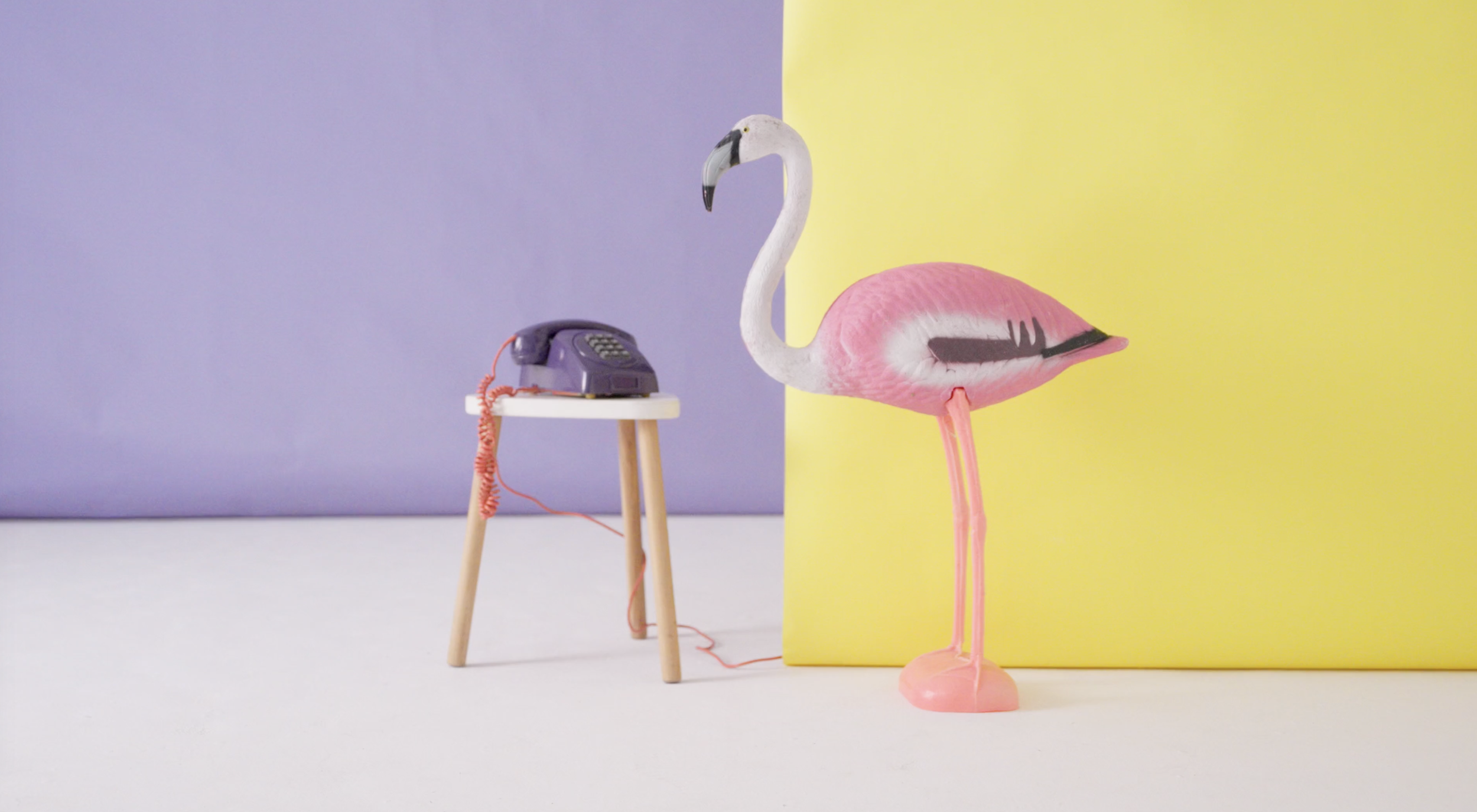 Brand & Visual Identities