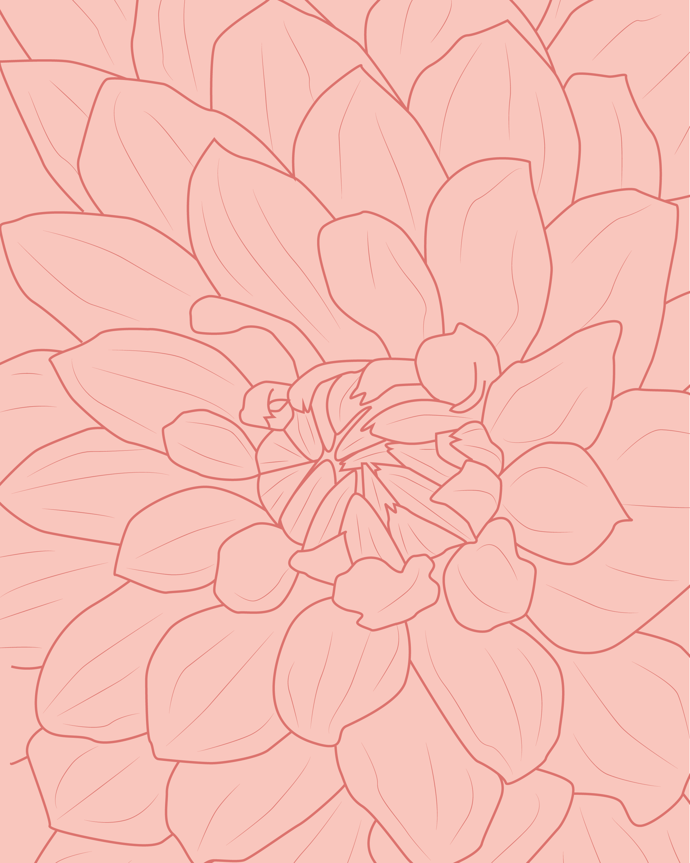pink_dahlia-01.png