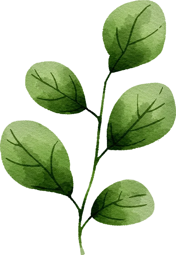Watercolor illustration of six green leaves with dark veins on a white background.