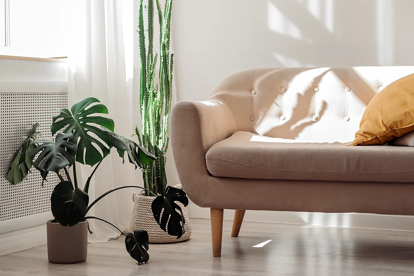 Living room with beige sofa, yellow pillow, potted monstera and cactus, white walls, and sunlight casting shadows.