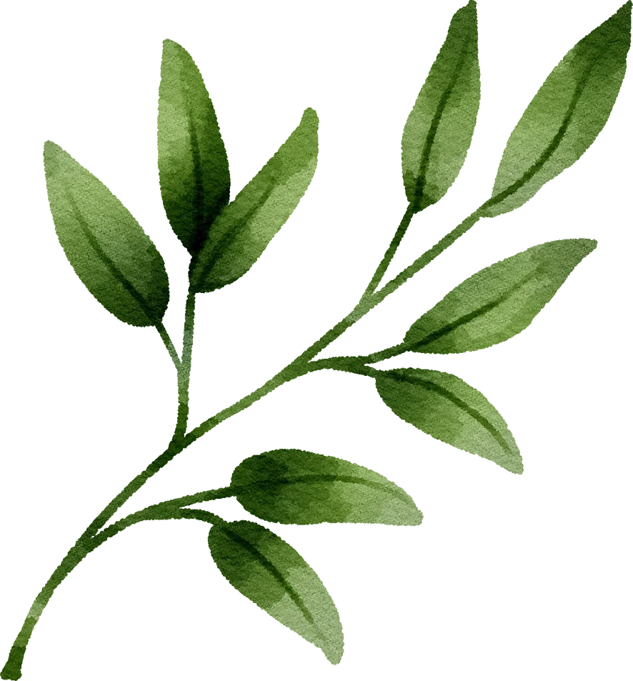 A bunch of green, elongated leaves with pointed tips and visible veins.