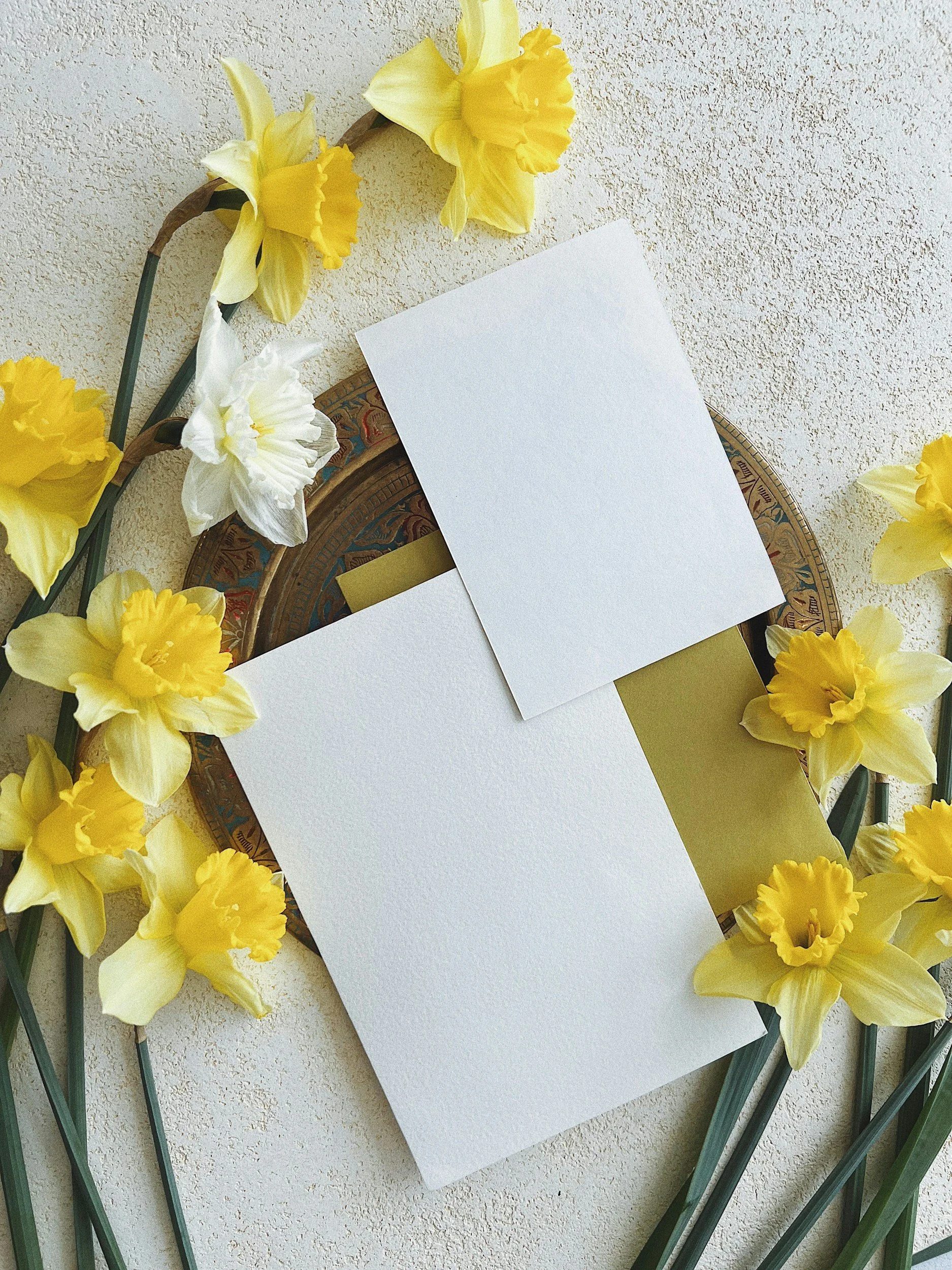 Yellow daffodils and white flowers surrounding blank white cards on a decorative round tray.