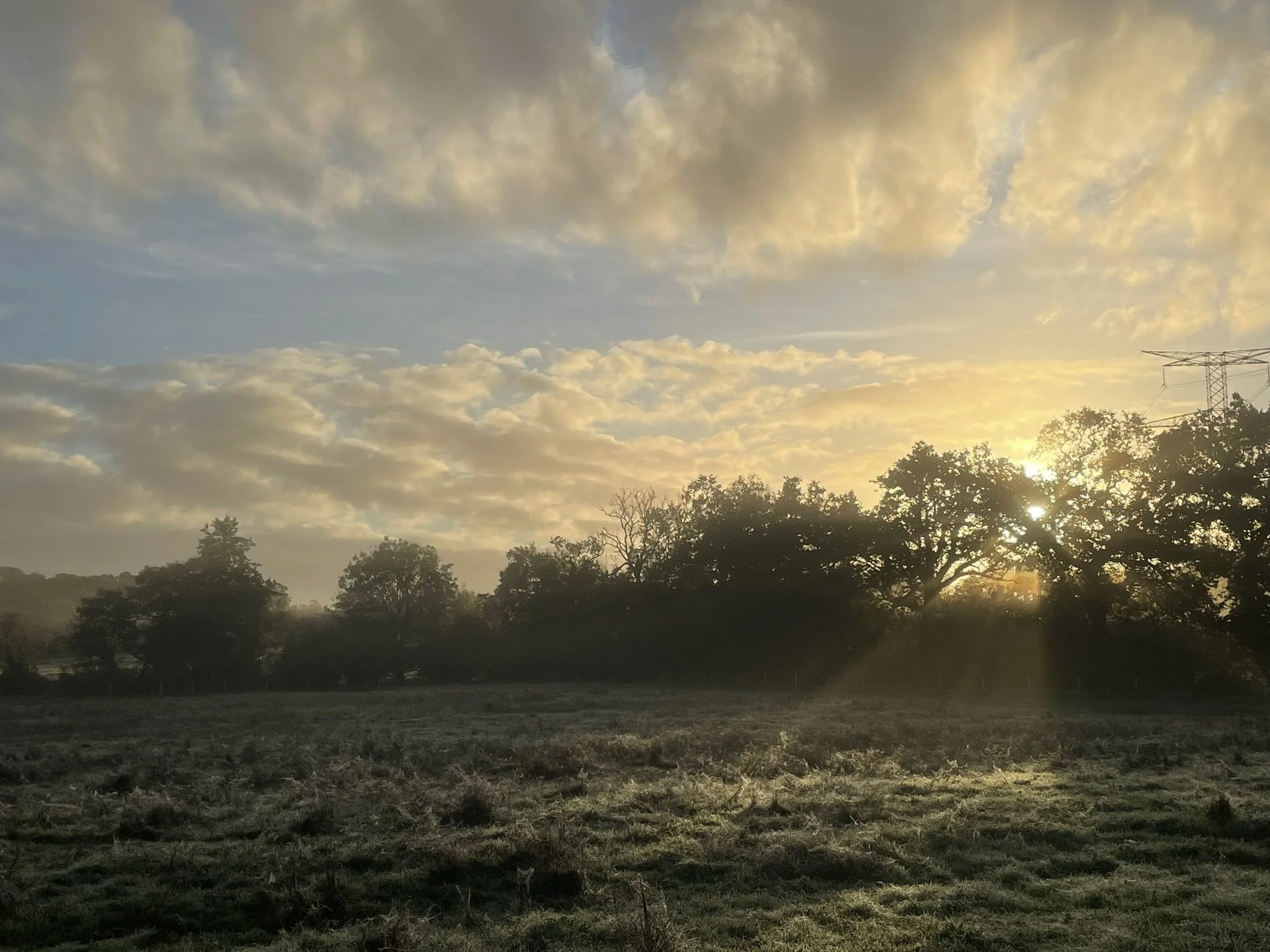 IMG_9173.JPEG