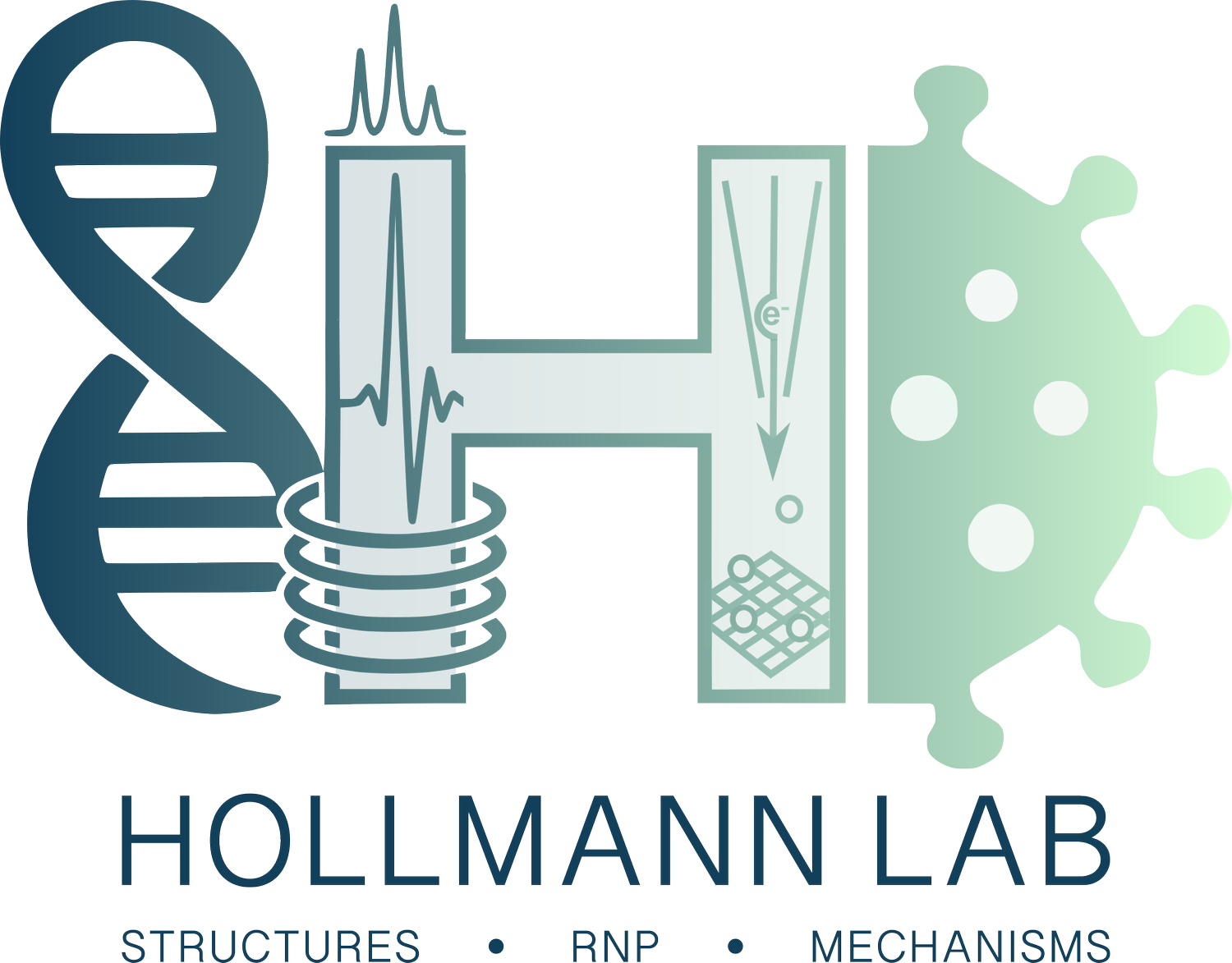 Hollmann Lab