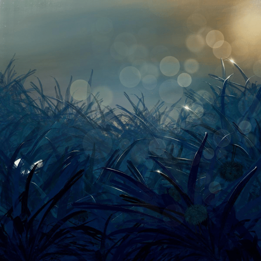 IMG_2710.gif