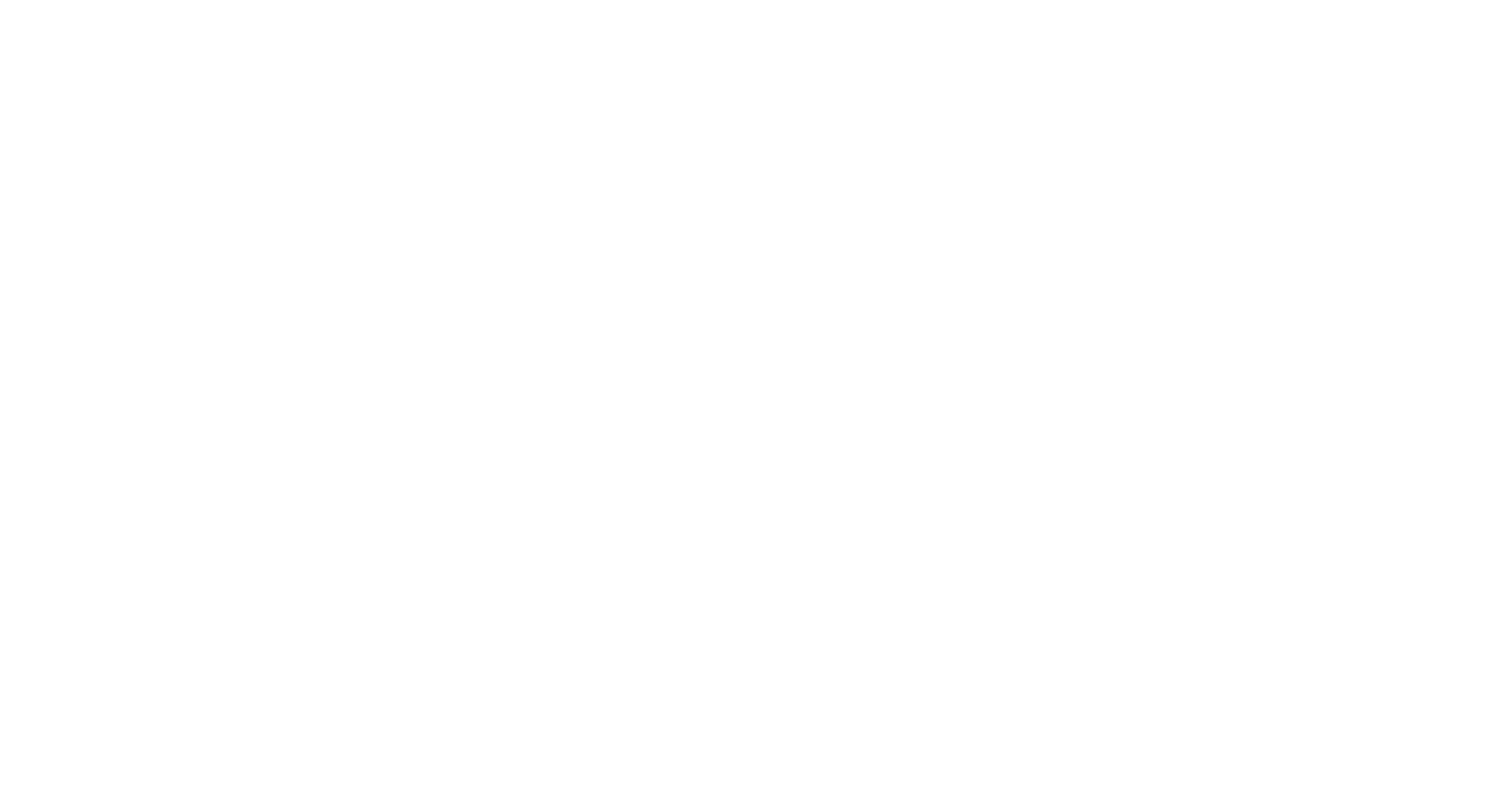 TCH Logo (w).png