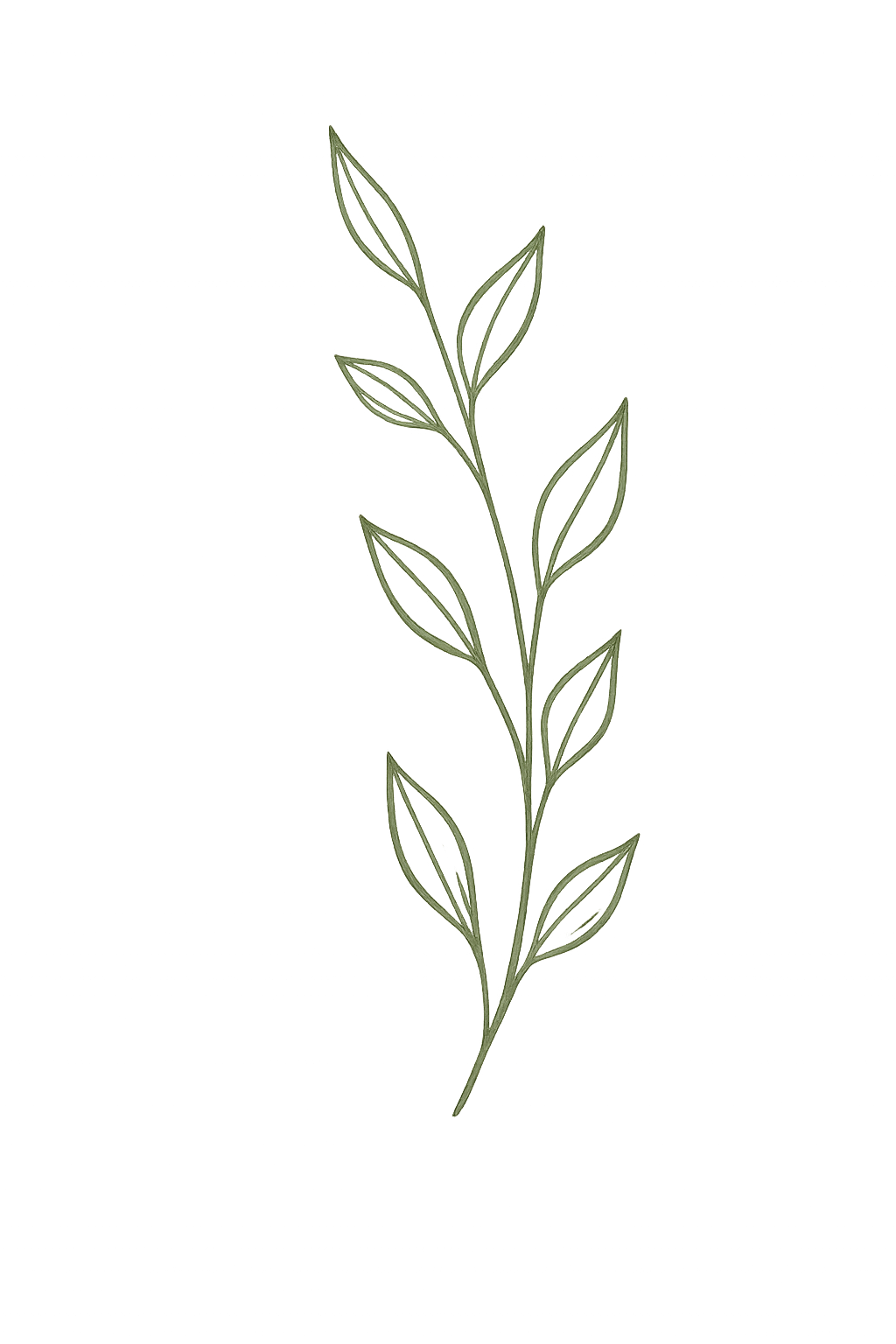 Decorative