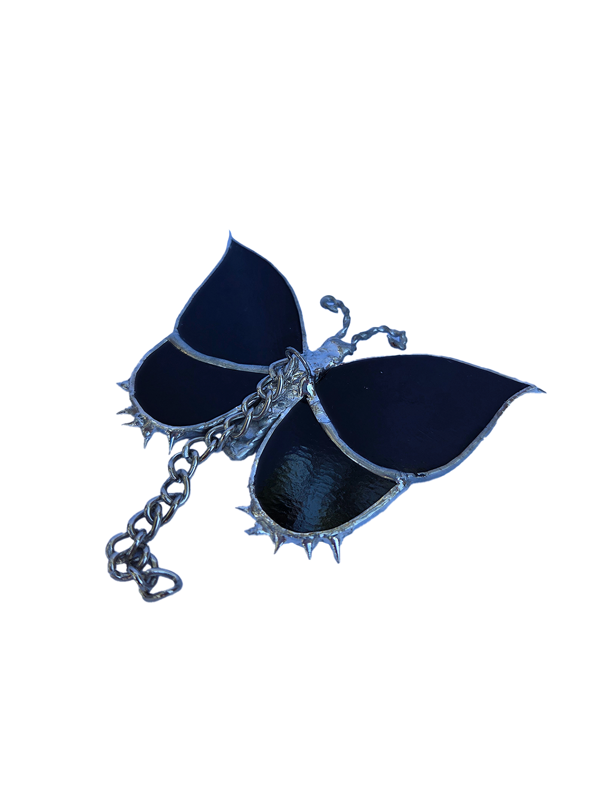 charc butterfly (⌐■_■)