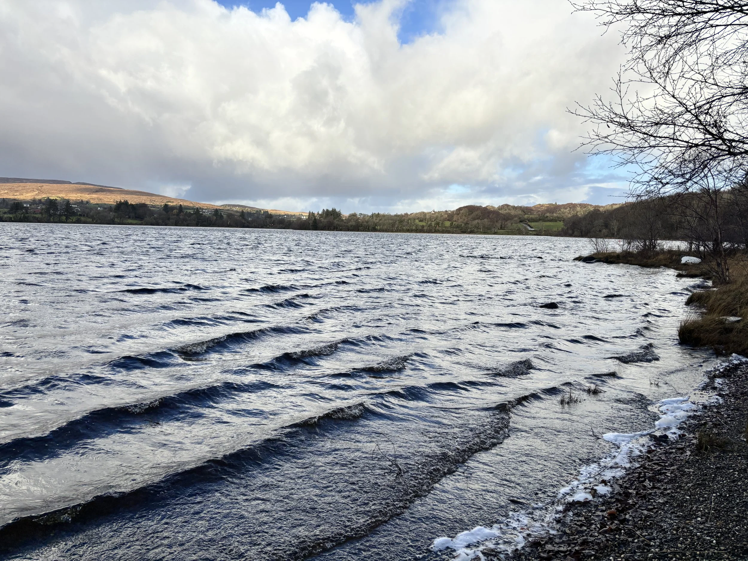 A lake with small waves, a partly cloudy sky, and trees on the shoreline and in the distance, with some snow on the ground.
