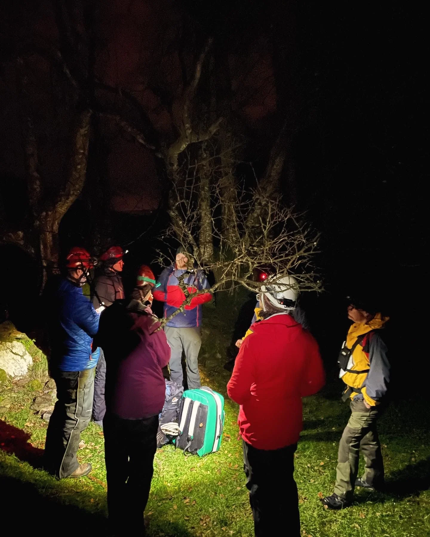 A group of people, some wearing helmets and outdoor gear, gathered around a leafless tree at night with headlamps and backpacks visible, possibly during a nighttime outdoor activity or search.