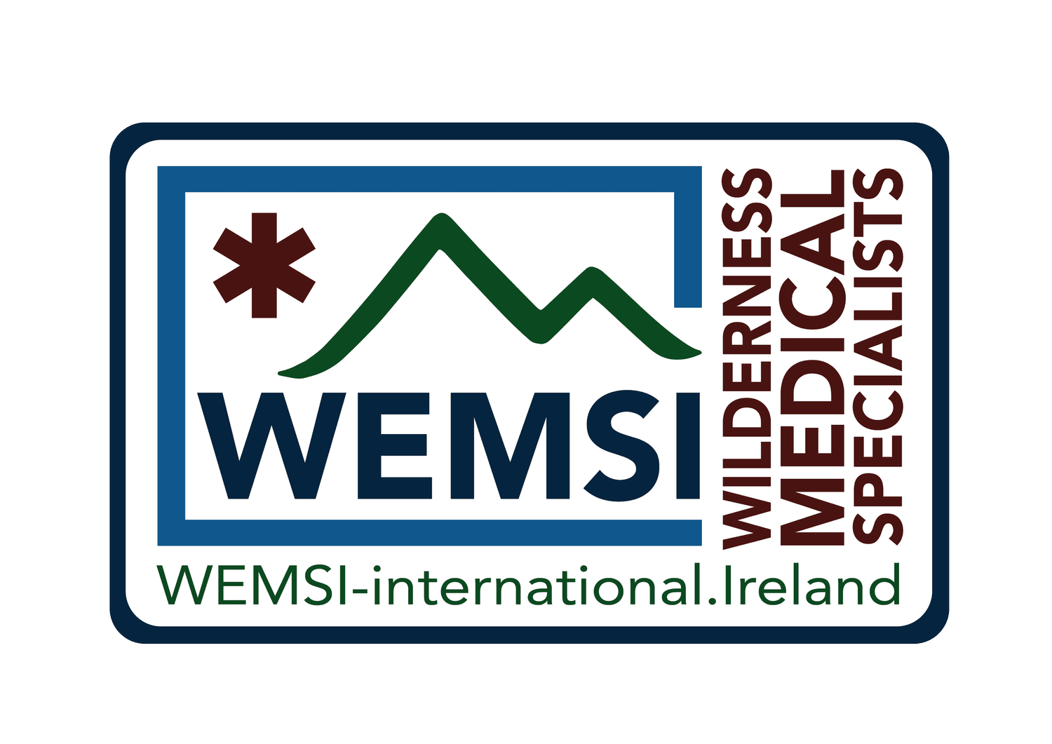 WEMSI INTERNATIONAL