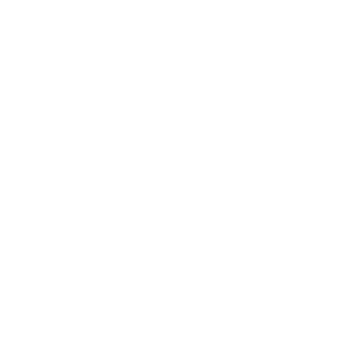 Shield and lock icon for secure retailer checkout
