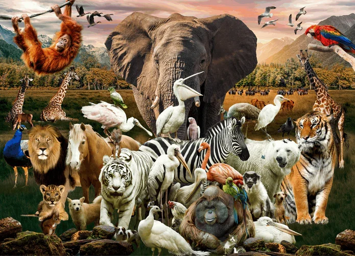 Brain Tree Anmals 1000 piece puzzle