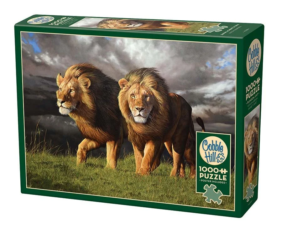 Approaching Storm 1000 piece puzzle