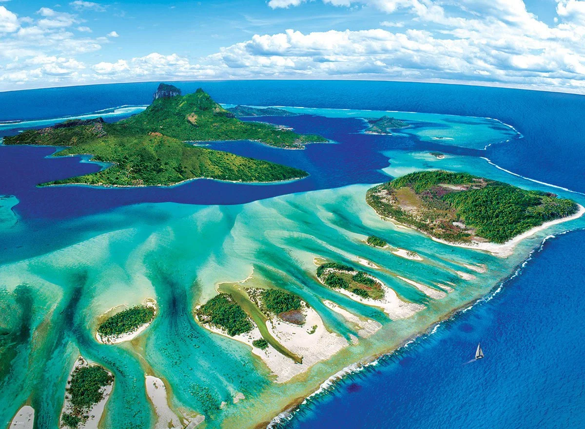 Coral Reef 1000 piece puzzle