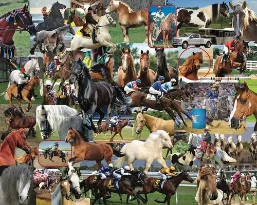 Horses, Horses, Horses 1000 piece puzzle