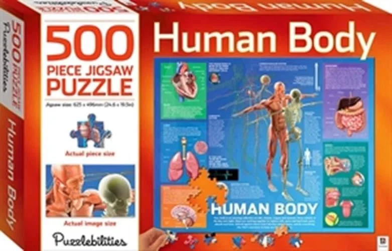 Human Body 500 Piece Jigsaw