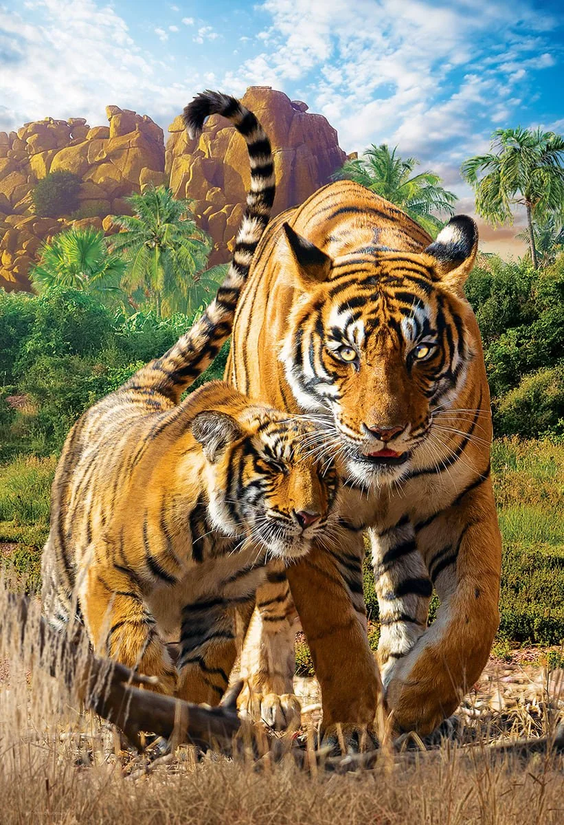 Tigers 250 piece puzzle